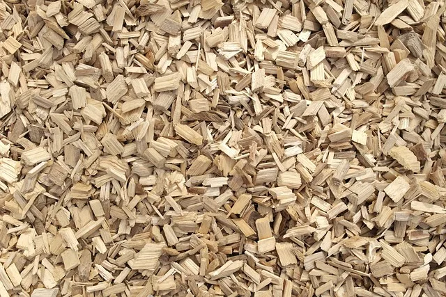 Holzschnitzel frisch