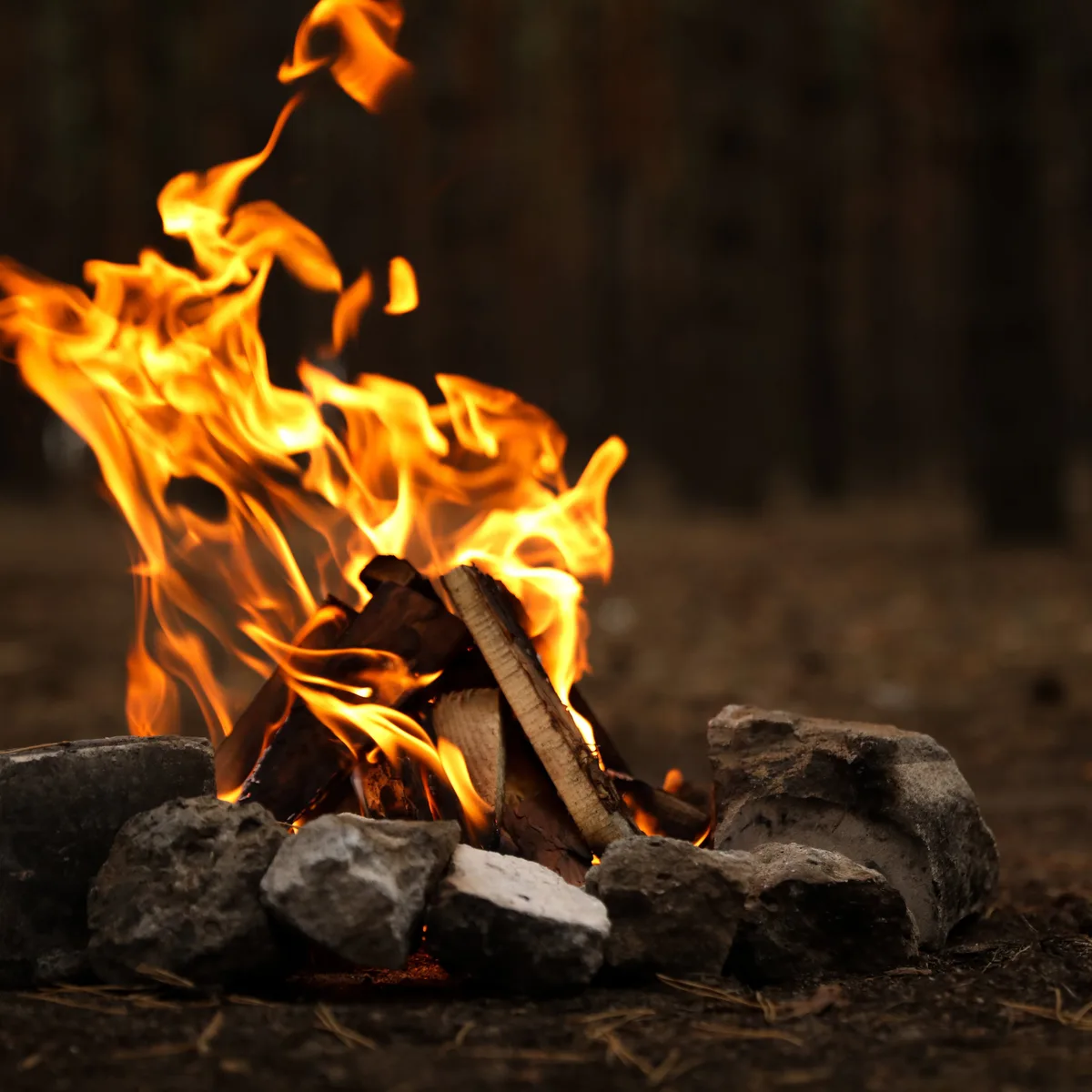 Lagerfeuer-Mischung 33 cm | lose